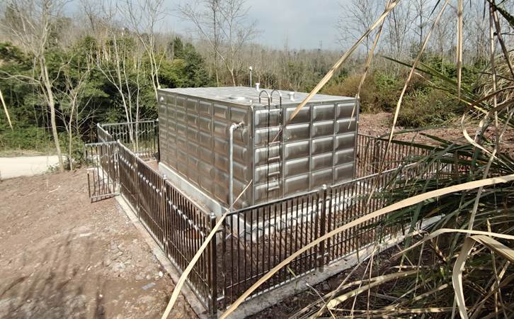 1773384217170731.jpg 302(3).jpg